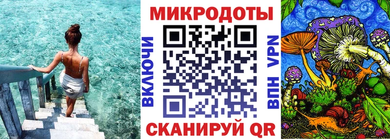 Купить где  Вилючинск  Псилоцибиновые грибы Cubensis 