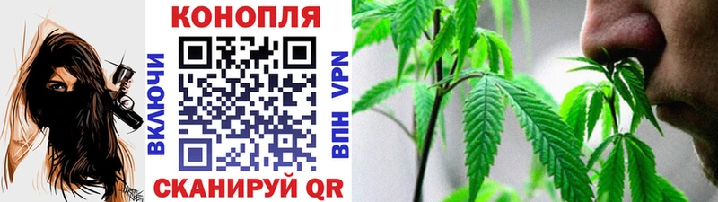 Купить закладки  Вилючинск  Бошки марихуана OG Kush 